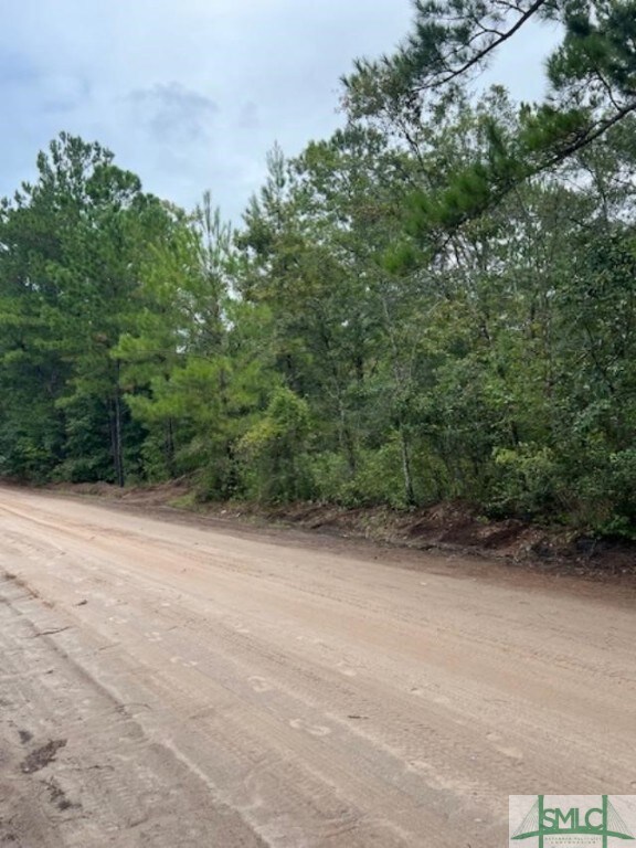 Tract 4 0 Blue Jay Rd, Guyton, GA 31312 - photo 2