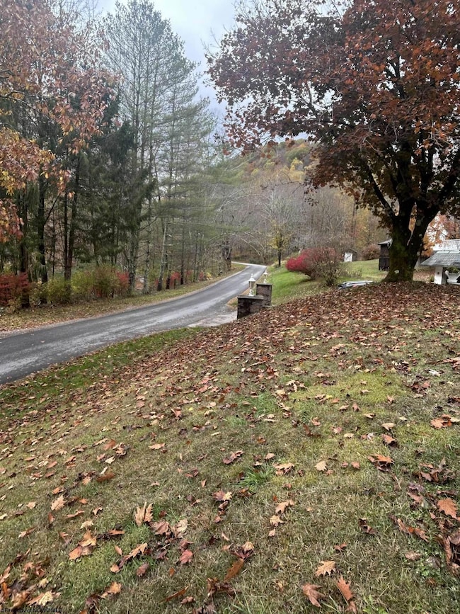 6801 Heaston Ridge Rd, Rock Cave, WV 26234 - photo 7