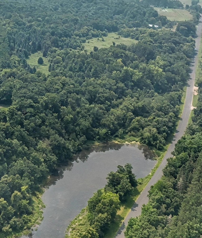 TBD 155th St, Alden Township, WI 54001 - photo 4