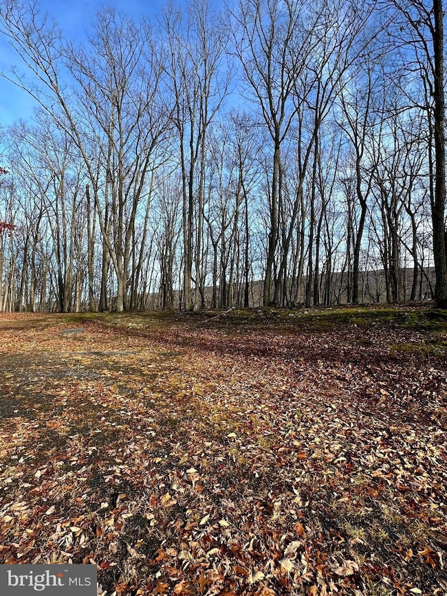 Lot 15 Hickory Ct, Baker, WV 26801 - photo 3