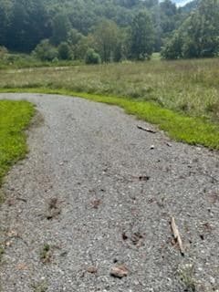 Tr 1 Rev Burch Cove Rd, Hayesville, NC 28904 - photo 4