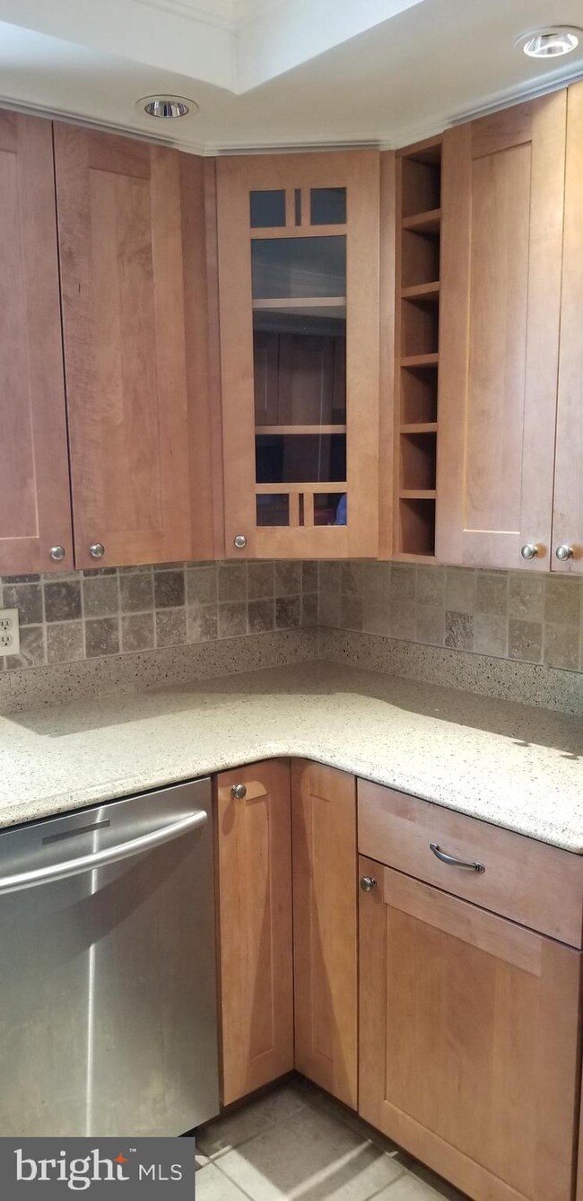 4605 31st Rd S unit A2, Arlington, VA 22206 - photo 3