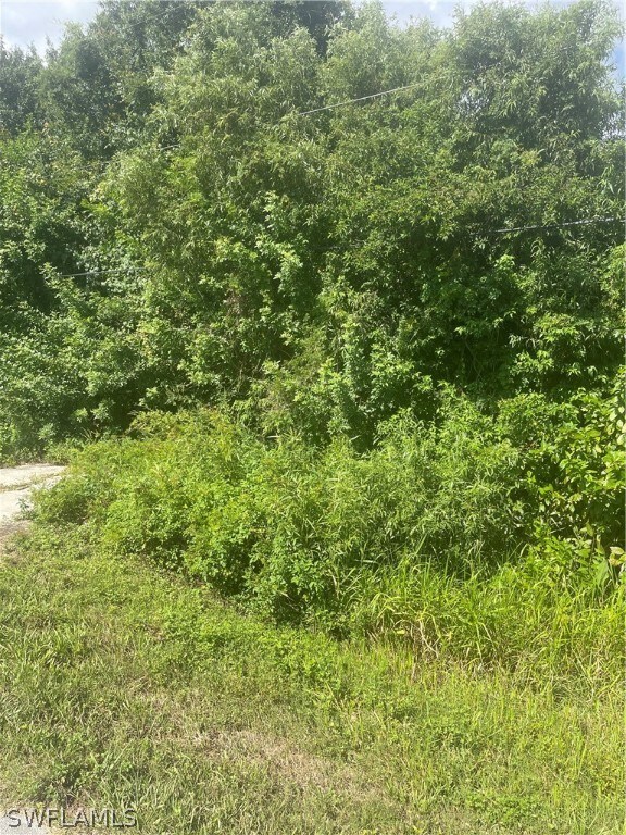 View of nature