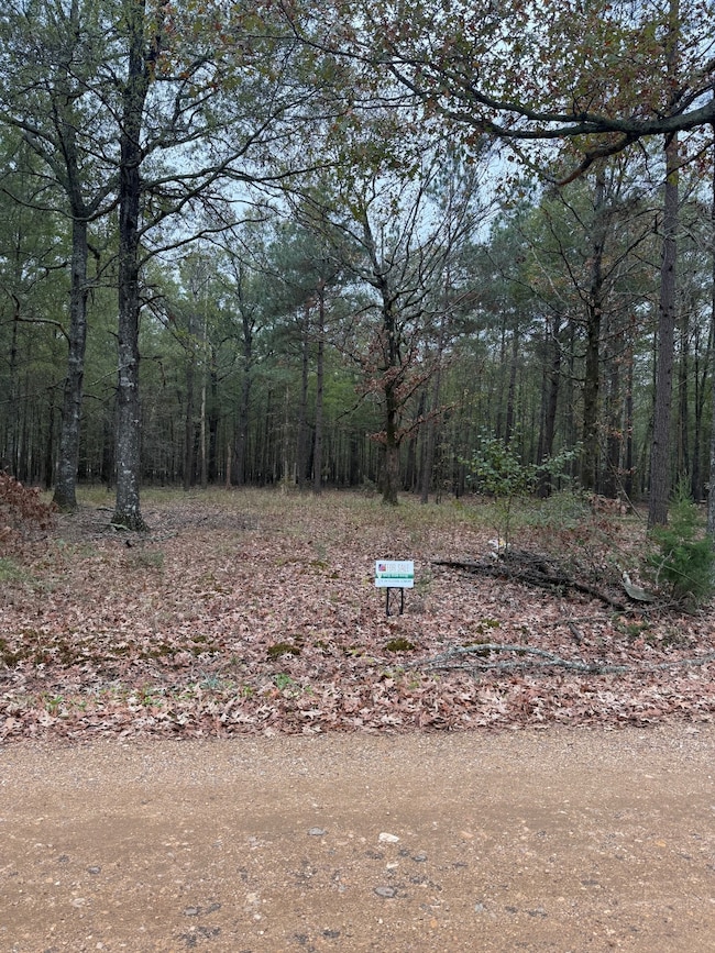 2031 Parkview Ave, Ashdown, AR 71822 - photo 3