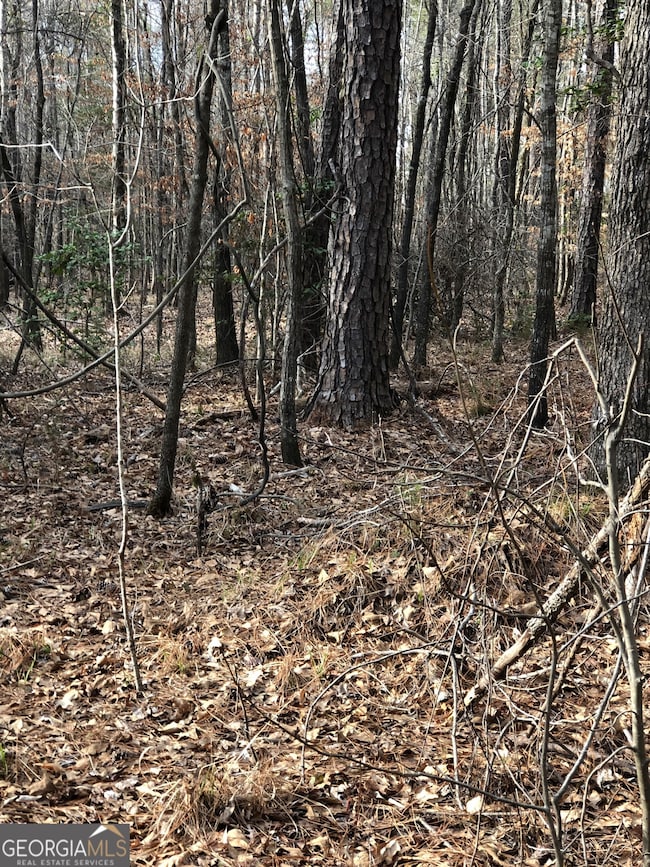 438 Lake Laurel Rd, Milledgeville, GA 31061 - photo 2