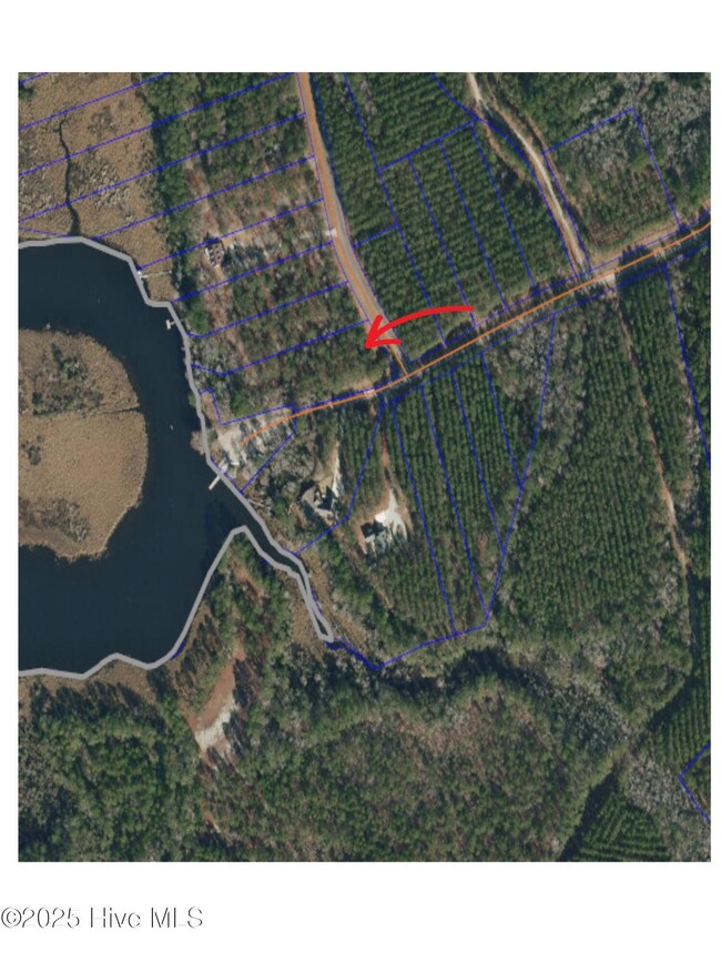 21 N Berne Landing Rd, New Bern, NC 28560 - photo 4