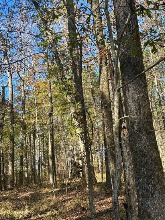 1 Lee Road 333, Salem, AL 36874 - photo 7