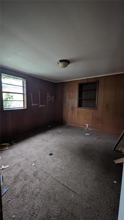 Carpeted spare room with wooden walls
