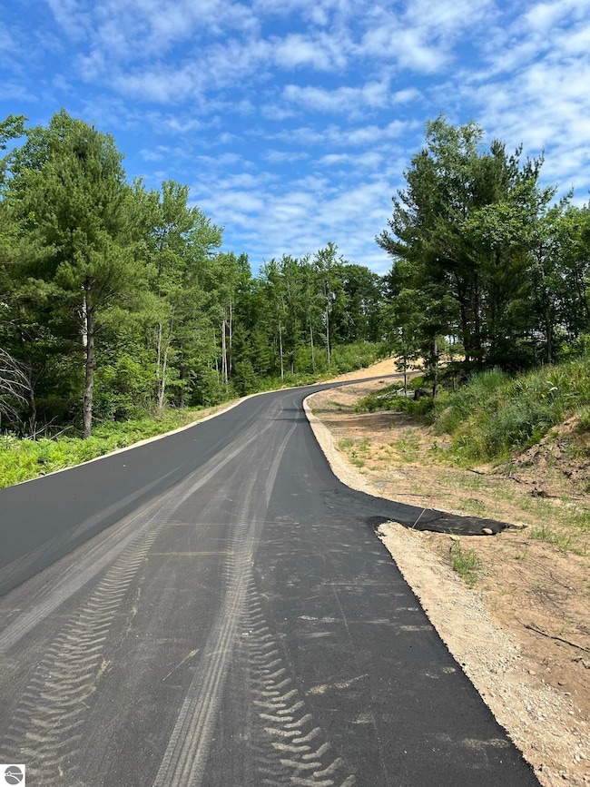 TBD Hoosier Flats Rd unit B, Traverse City, MI 49685 - photo 2