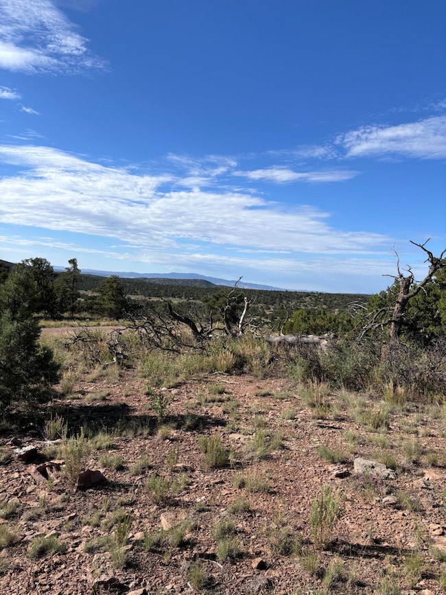 34 Lookout Cir, Datil, NM 87821 - photo 5