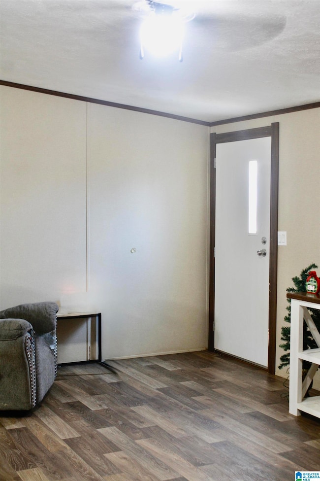 Living room front door area