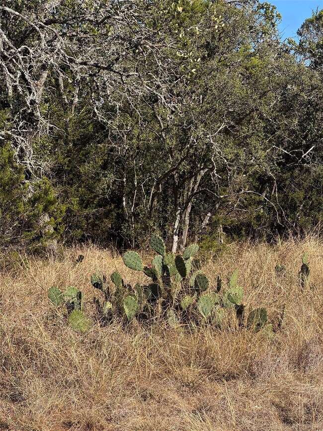 60 Coastal Loop, Johnson City, TX 78636 - photo 7