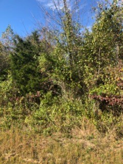 Lot 37 Melanie Dr, Cookeville, TN 38506 - photo 3