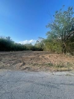 711 W Parnell St, Denison, TX 75020 - photo 2