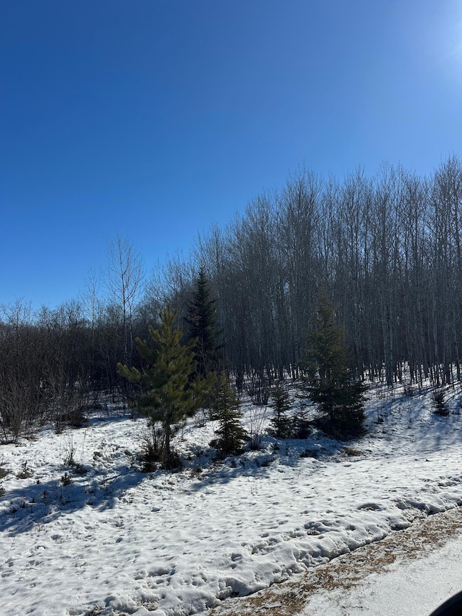 TBD 8th St NW, Baudette Township, MN 56623 - photo 2