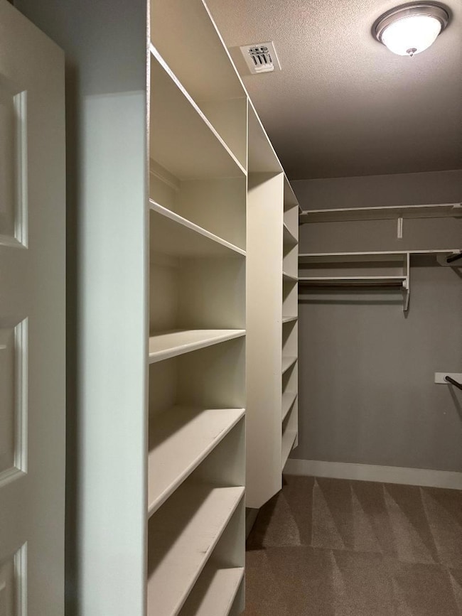 unlisted-address, Dripping Springs, TX 78620 - photo 5