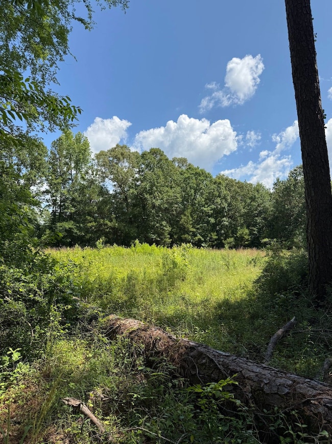 0 Zoar Rd unit Louisiana 71226, Chatham, LA 71226 - photo 5