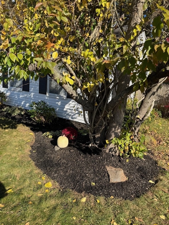 61 Woodside Ave, Braintree, MA 02184 - photo 6