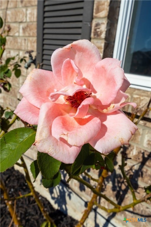 3707 Frigate Dr, Killeen, TX 76549 - photo 4