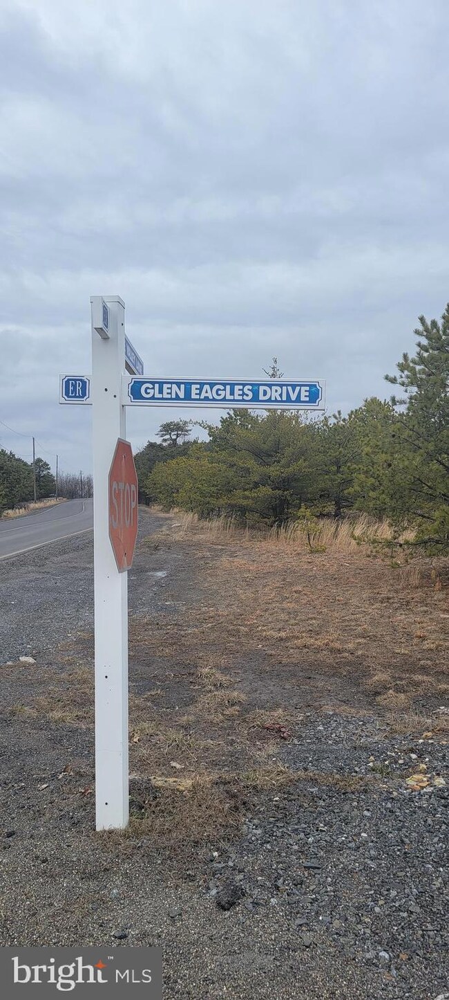 ERII 331 Glen Eagle, Hazle Township, PA 18202 - photo 3