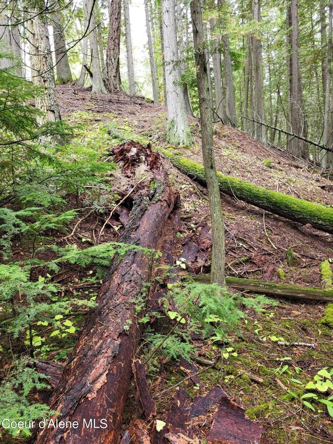 Granite Creek 7