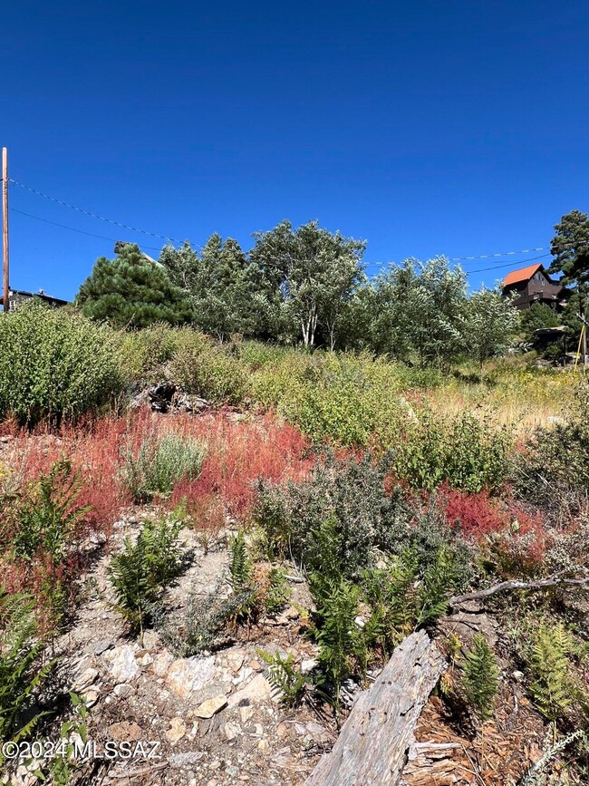 12975 N Tempe Ave, Mount Lemmon, AZ 85619 - photo 4