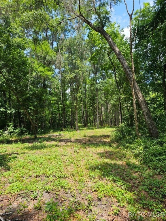 0 NW 83rd Court Rd unit 850146, Ocala, FL 34482 - photo 3