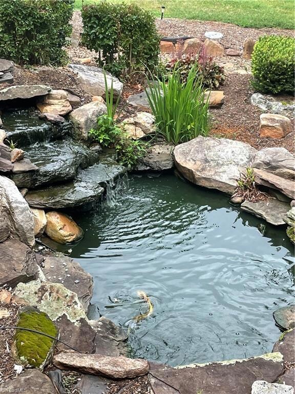 Koi pond