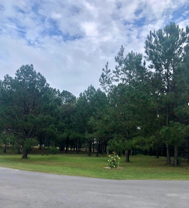 0 Burgundy Dr, Lucedale, MS 39452 - photo 2