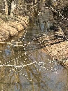 63.74 Acre Chestnut Valley Rd, Vonore, TN 37885 - photo 2