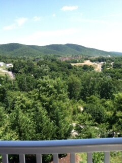 VIEW FROM PATIO