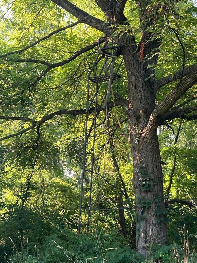 64D1C140-0FB3-4F15-900A-C2D3B297AE4A