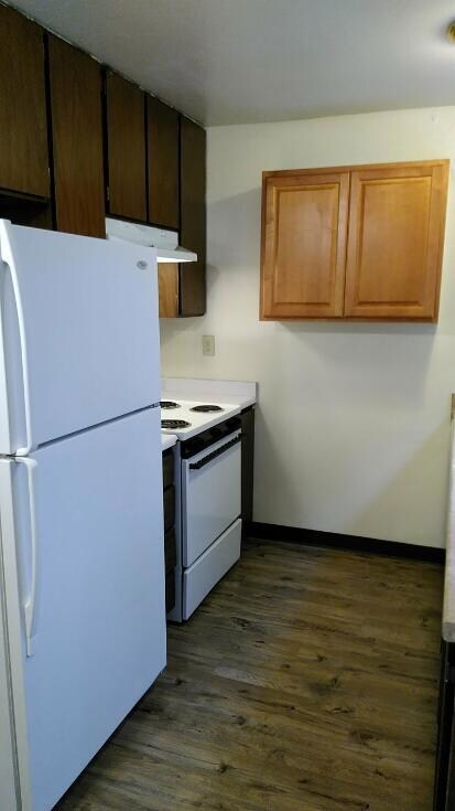 Delphinium kitchen