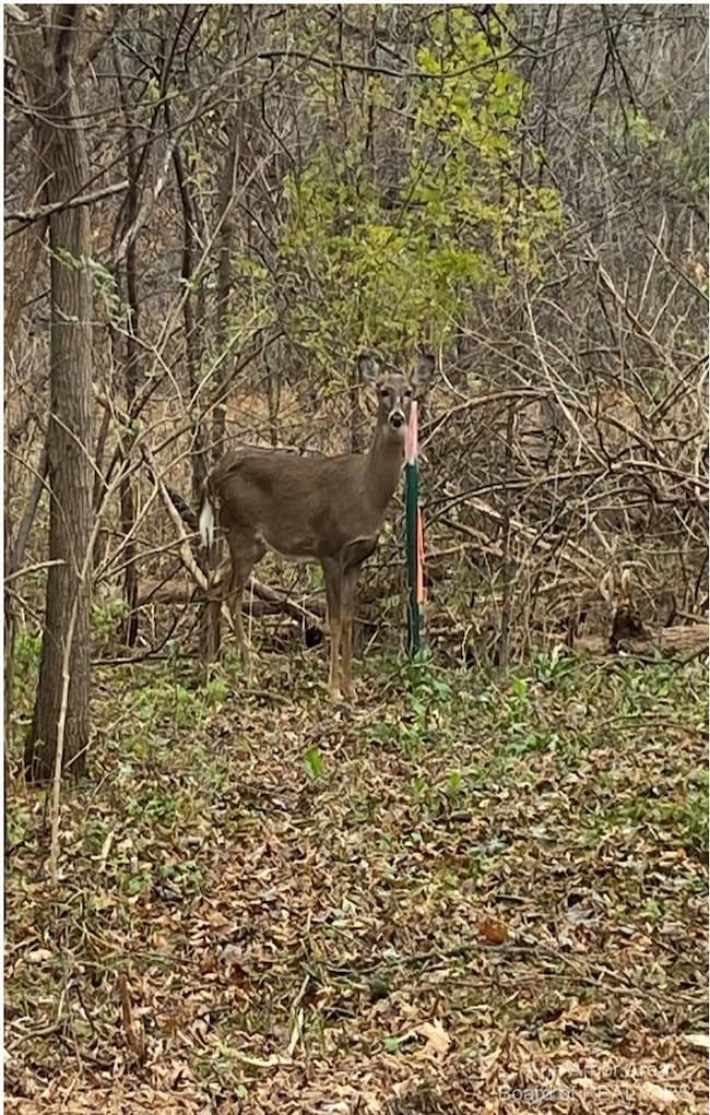 8269 Huron River Dr, Dexter, MI 48130 - photo 3