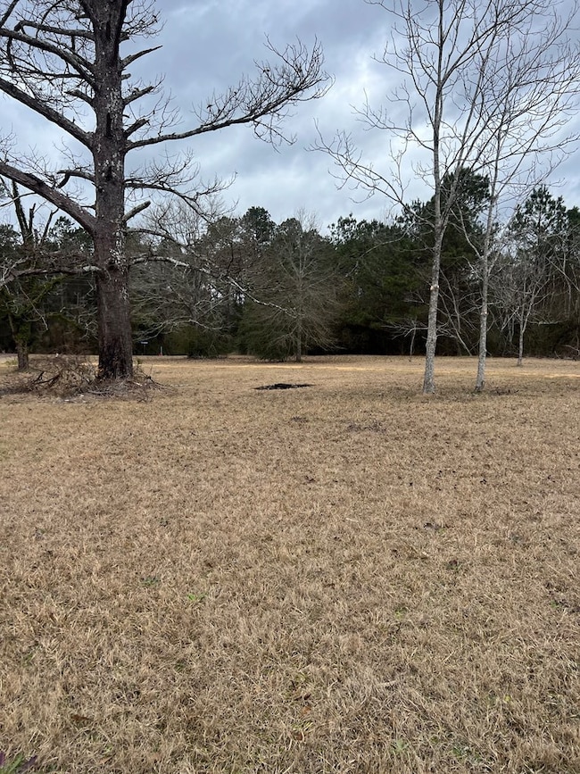 358 Holmes Rd, Jayess, MS 39641 - photo 3