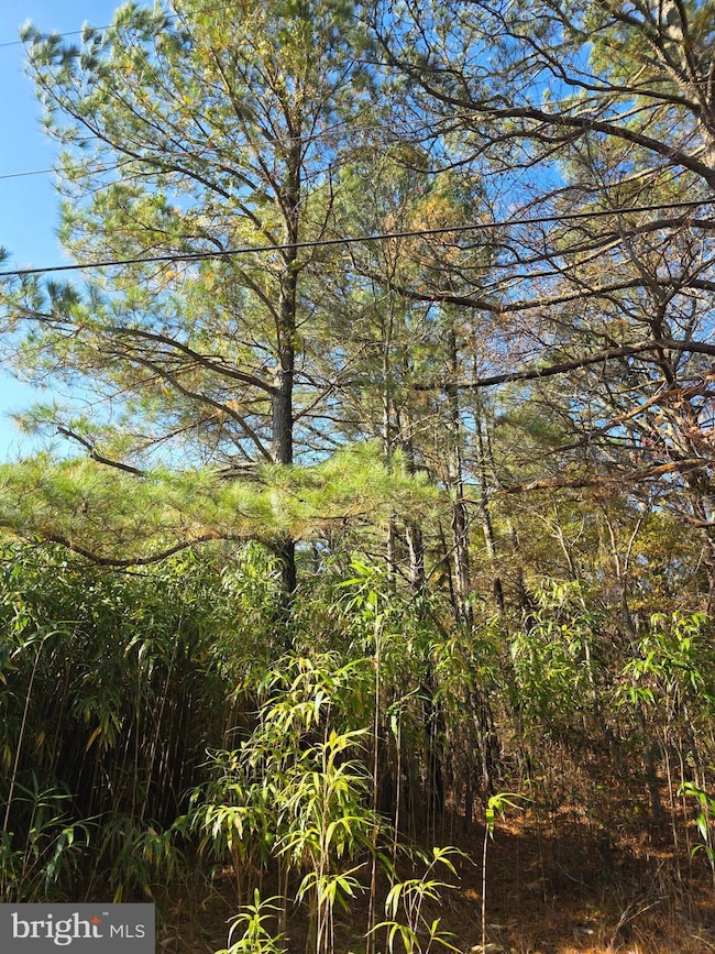 0 Roland Parks Rd unit MDSO2006658, Chance, MD 21821 - photo 4