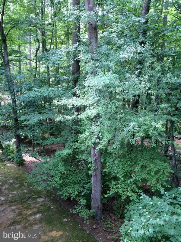 23309 Sugar Maple Ct unit 811, California, MD 20619 - photo 3