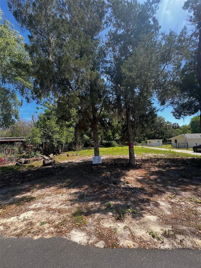 1651 S Shady Terrace, Inverness, FL 34450 - photo 2