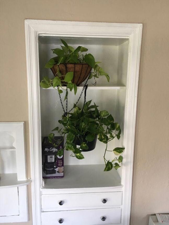 5800 Vickery Blvd unit 1, Dallas, TX 75206 - photo 4