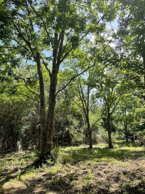 0 Tom Warner Rd, Tylertown, MS 39667 - photo 6