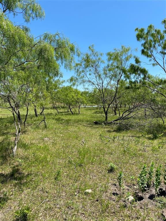 Lot 7 TBD Fm 1181, Ennis, TX 75119 - photo 6