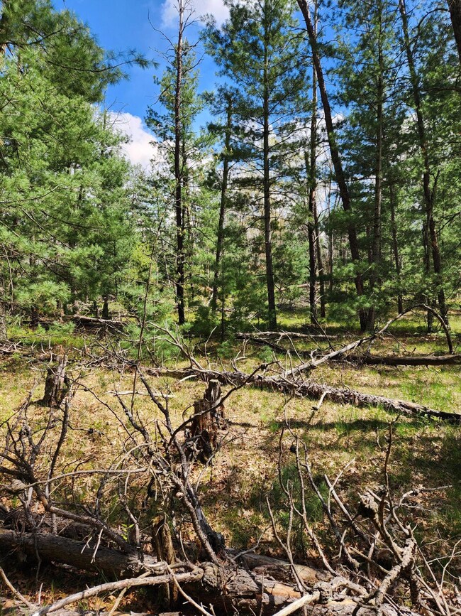 8950 Chatman St, Pleasant Plains Township, MI 49642 - photo 5