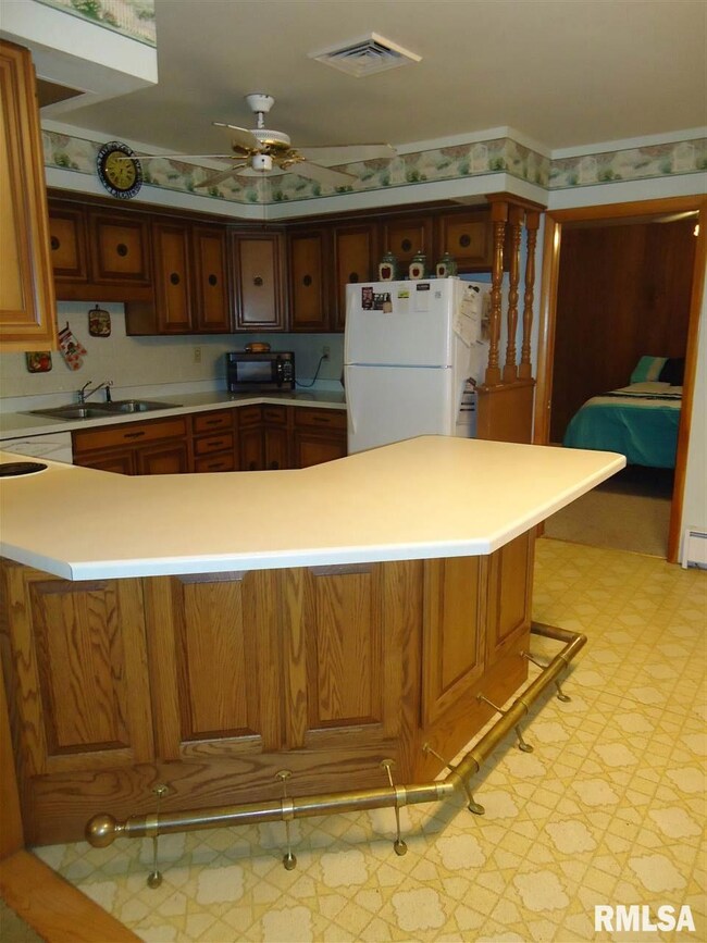 232 E Springfield St, Virginia, IL 62691 - photo 6