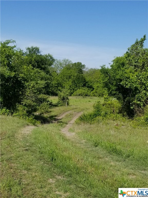 1702 N 42nd St, Temple, TX 76501 - photo 6