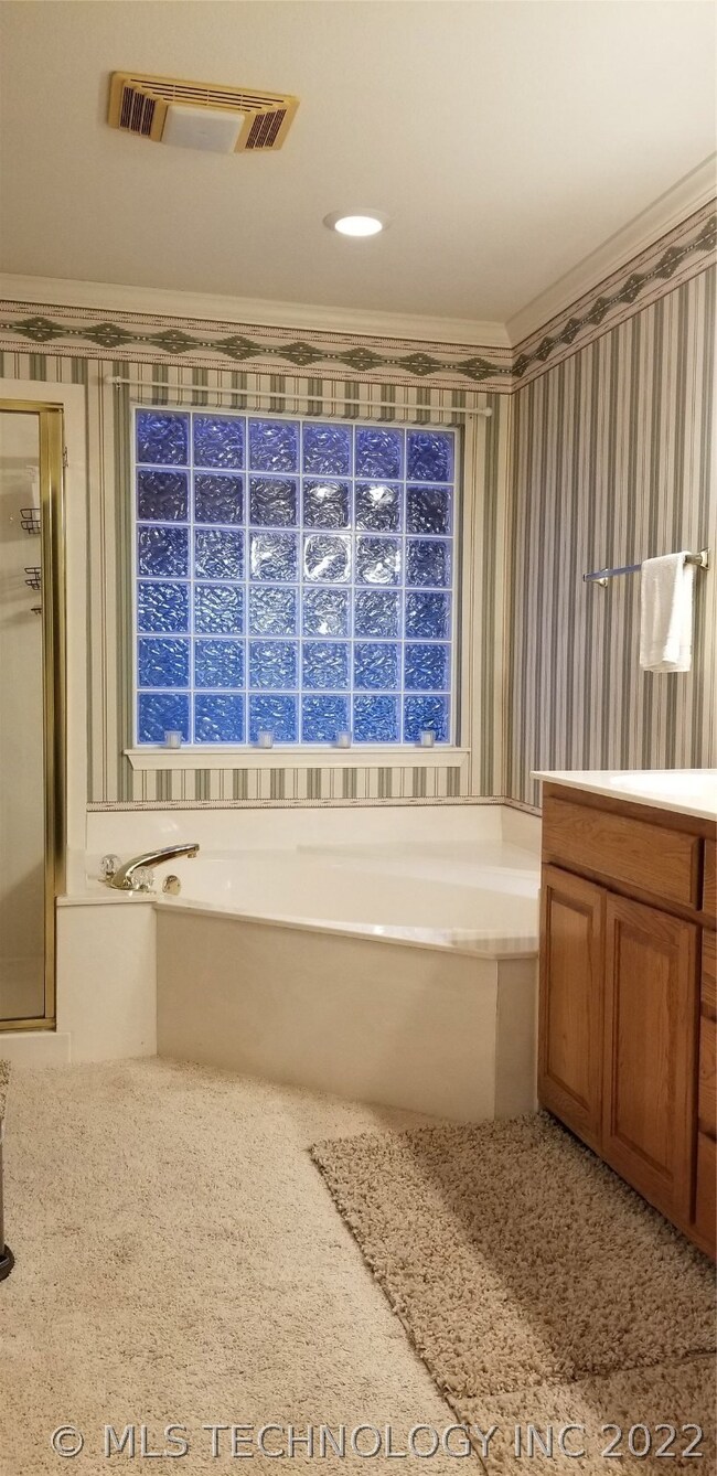 Master Shower or Tub with light and privacy