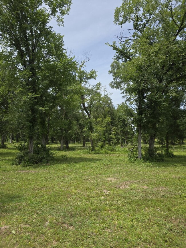 3116 State Highway 75 N, Huntsville, TX 77320 - photo 7