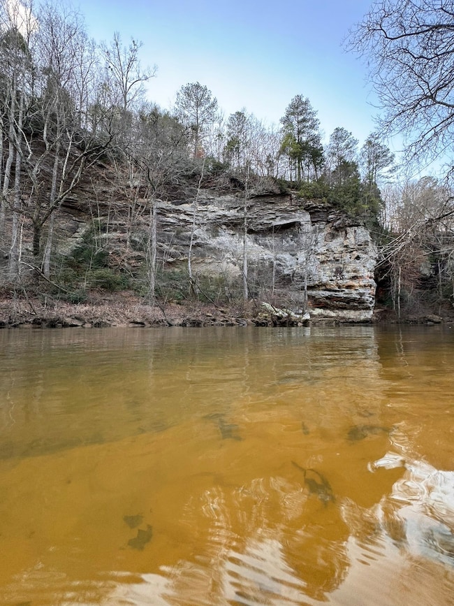 Harmony Way, Hamilton, AL 35570 - photo 6