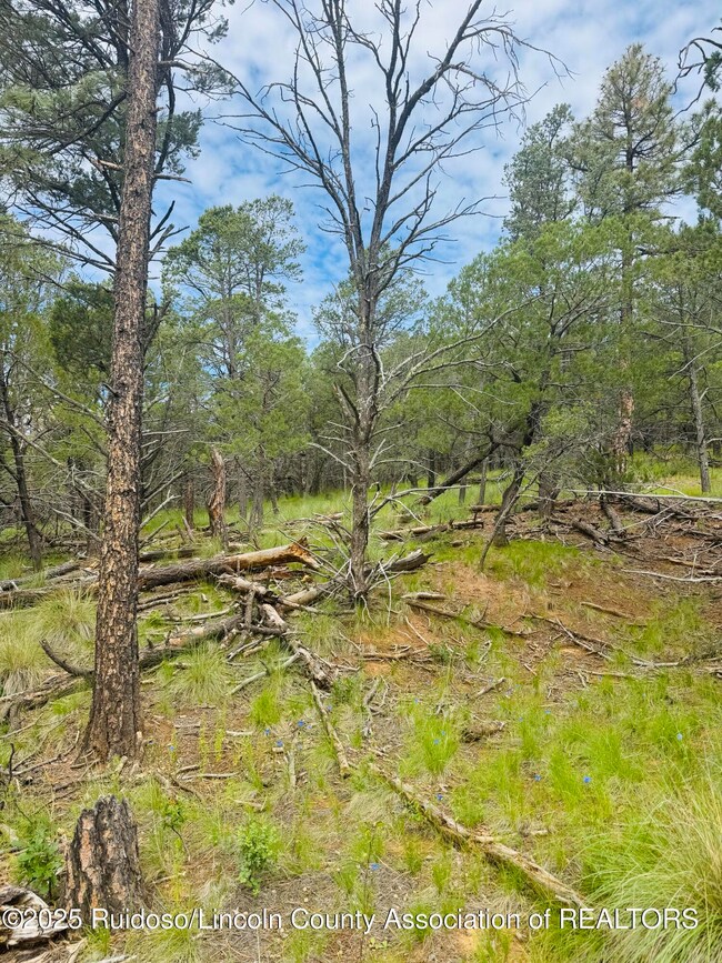 - Johnnys Dr, Timberon, NM 88350 - photo 7