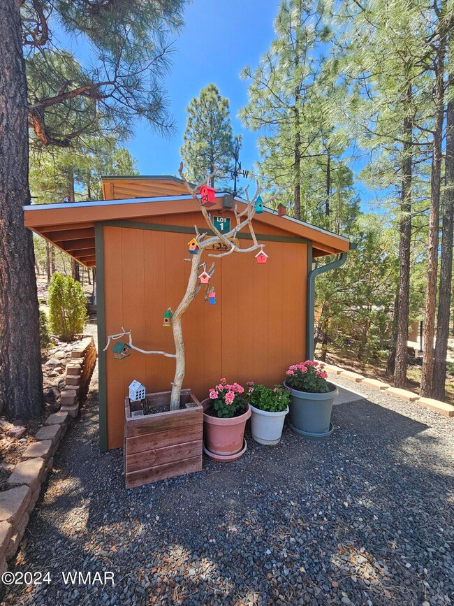 Shed