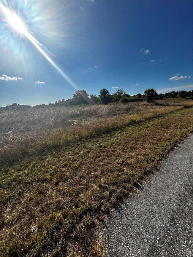 216 Leinster Place, Labelle, FL 33935 - photo 4